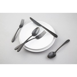 Cambridge Silversmiths Poet Black Satin 20-Piece Flatware Set, Service for 4
