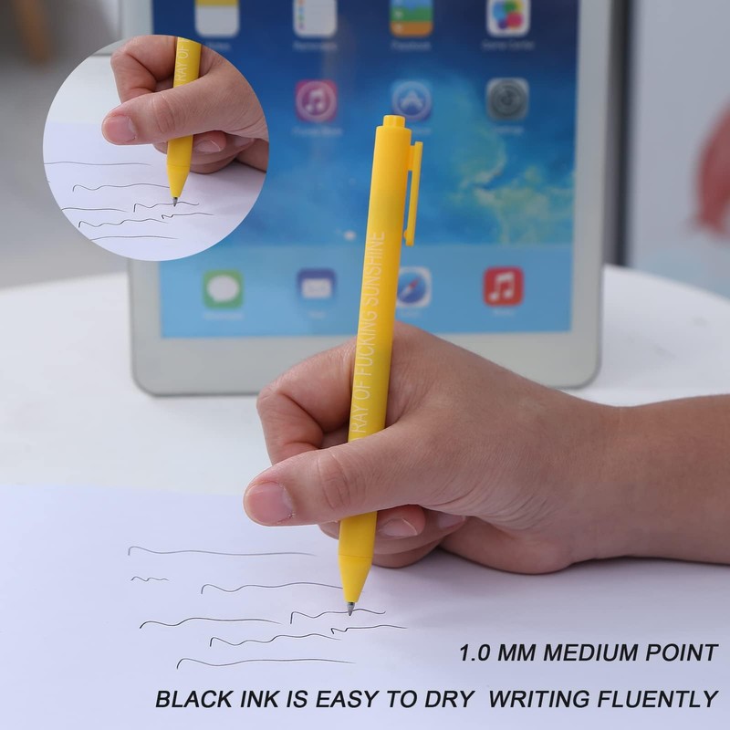 HLPHA 11PCS Funny Office Pens - Sarcastic, Snarky, Dirty Word