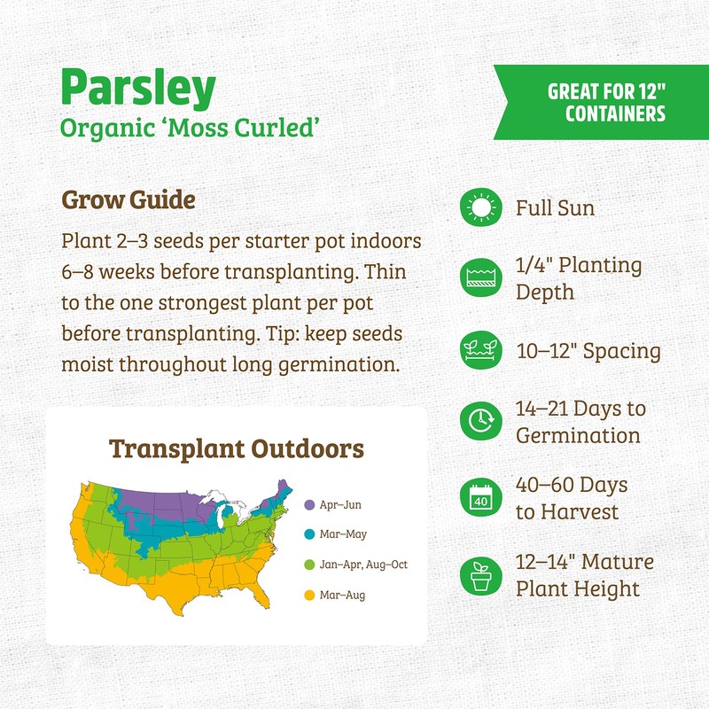 Back to The Roots 100% Organic Seed Packet - Parsley