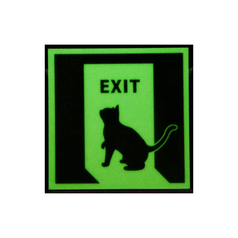 [Phosphorescence Seal] alpha Flash af2004 Induction Sign Cat 1 Piece