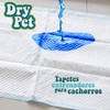 Dry Pet Tapete Entrenador para Perro de 14 Piezas