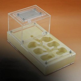 Shi Wang Ant Hall 아크릴 석고 플랫 조합, 개미 둥지, 빌라 Shi Wang Ant Hall Acrylic Plaster Flat Combination, Ant Nest, Villa [01 White]