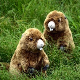 RLOMUTE 9.8 Inch brown Groundhog Plush Toy Realistic Stuffed Animal Super Soft Cute woodchuck for Birthday Party Favors Companions Bedroom Car Home Decor Collectible Gift for kids Boys Girls