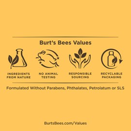 Burt's Bees BB Cream with SPF 15, Light / Medium, 1.7 Oz (Package May Vary)