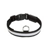EYENIMAL NGCOLLUM027 USB RGB Light Collar L, L, 86 g