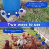 Tiangrid 49 Pcs Automatic Chicken Waterer System Includes Chicken Water