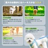 grooblue Dog Harness Lead Set for Small Dogs, Medium Dogs