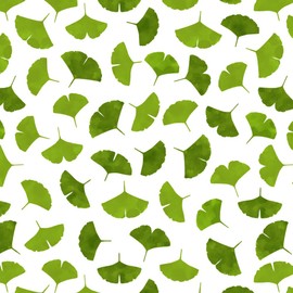 GRAPHICS & MORE Ginko Biloba Leaves Pattern Gift Wrap Wrapping Paper Rolls