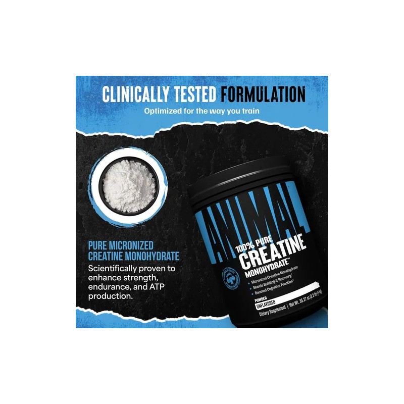 Universal Animal Monohidrato De Creatina 1 Kg Micronizada
