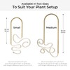 Plantstraws Beautiful Self-Watering Wick System for Effortless Plant Care, Automatic