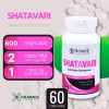 Kit 3 Frascos De Shatavari - 60 Cápsulas 600 Mg