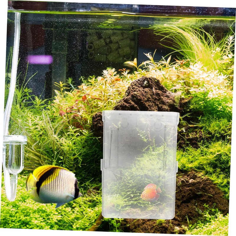 NOLITOY 4pcs Fish Breeding Box Small Aquarium Isolation Containers with