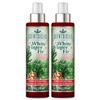 Scentsicles, Scent Mister, White Winter Fir - 2 Pack of