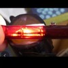 Infrared Heating Lamp -HoneyFly J118 500W 220V R7S IR Heating