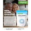 vit4ever Collagen Powder 500 g - 100% Bioactive Collagen Hydrolysate