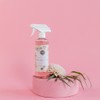 Bridgewater Candle Fragranced Multi Surface Cleaner Spray for Home, Kitchen