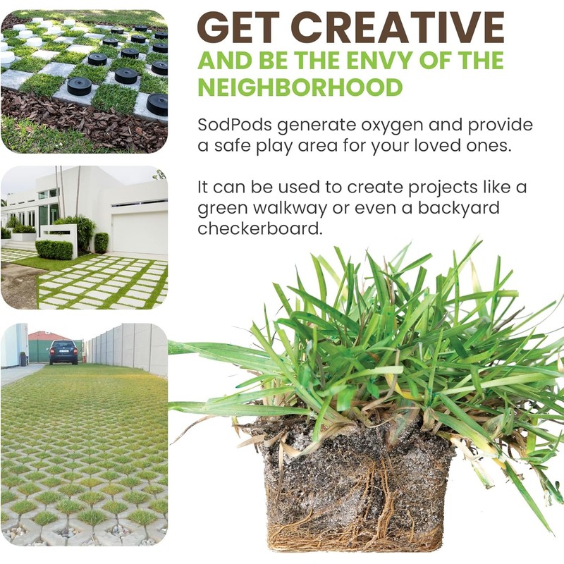 SodPods® Zoysia Grass Plugs for Lawn Repair, 3" x 3"