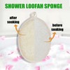 Natural Loofah Sponge Exfoliating Body Scrubber, Made of Natural Biodegradable