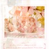 CARPEDIEM Collage Notebook Sticker Collage Lace Paper Cute DIY Handmade