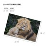 Lantern Press 1000 Piece Jigsaw Puzzle, Lion and Cub Cuddle