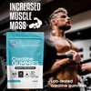 GN Creatine Gummies | 60 Chewable Creatine Gummies for Men