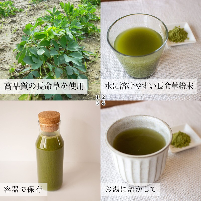 自然健康社 長命草粉末 100g 青汁 パウダー サプリ お茶