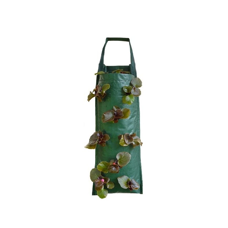 Nutley's Hanging Strawberry Flower Bag Planter Pouch grow fruit herbs