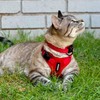Voyager Step-In Lock Adjustable Cat Harness with Cat Leash Combo