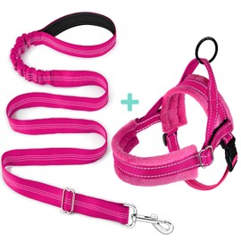 SlowTon No Pull Small Dog Harness and Leash Set, Puppy Soft Vest Harness Neck & Chest Adjustable, Reflective Lightweight Harness & Anti-Twist Pet Lead Combo for Small Medium Dogs (Fuchsia, XXS)