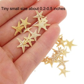 Julie Wang 20 pcs Tiny Size Natural Starfish Sea Star Micro-Landscape Beach Wedding Nautical Ornament Shells Collectibles Craft Accessory 0.5cm-1.5cm