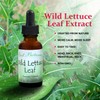 Best Botanicals Wild Lettuce Leaf Extract 1 oz.