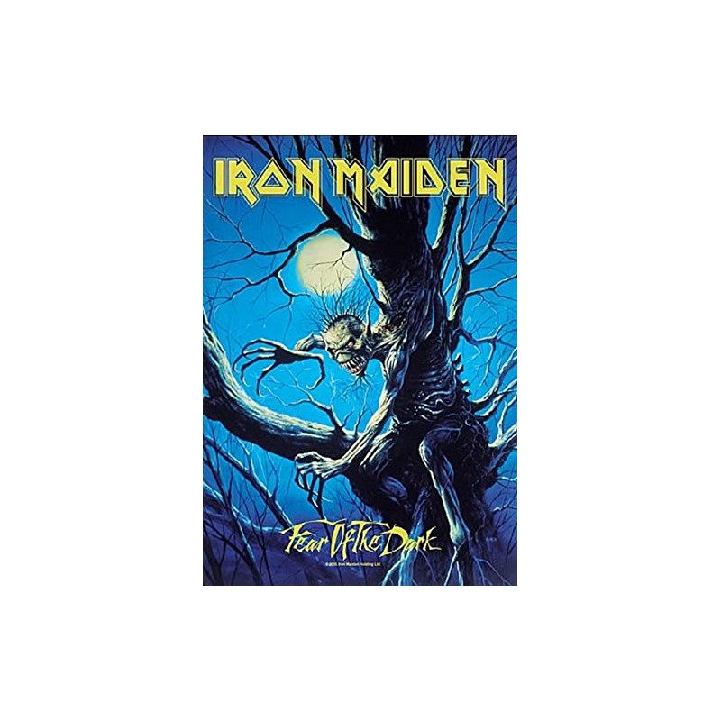 Iron Maiden Fear Of The Dark Live Flag