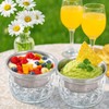 ZENFUN 2 Pack 20 Oz Chilled Dip Bowl with Acrylic