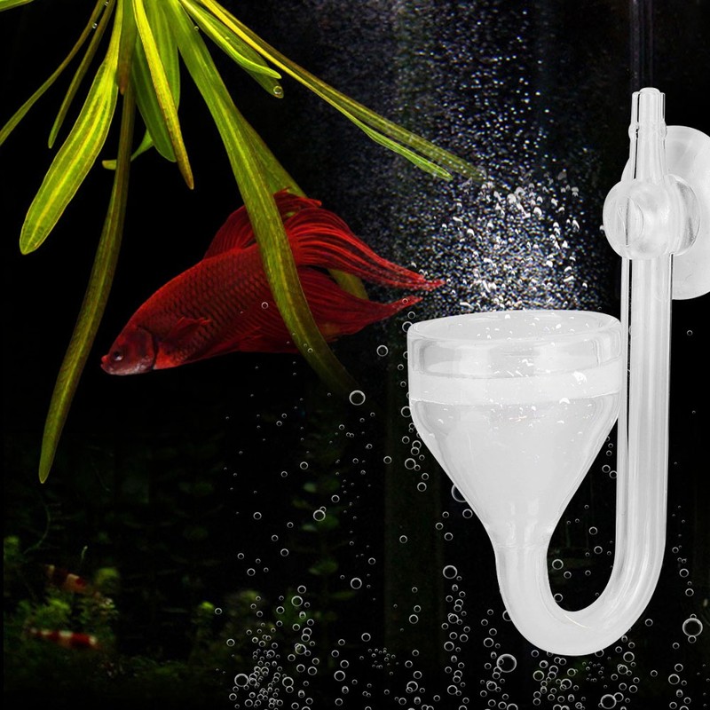 CO2 High Transparent Glass Refiner Diffuser Funnel Type for Aquarium
