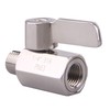 DERNORD 1/4 inch Stainless Mini Ball Valve NPT Female x