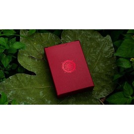 Murphy's Magic Supplies, Inc. Solstice Playing Cards by Kings Wild