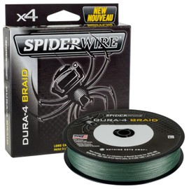Spiderwire Filo da Pesca Dura 4 Green 0.30mm 300m Trecciato PE Dyneema Mare Spinning Surfcasting Carpfishing