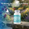 Calcio de Coral con Vitaminas C, D3 y E |