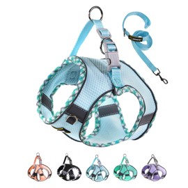Serepet Dachshund Harness & Leash Set for Small Medium Puppies, No Pull & Step in, Mesh Reflective Vest Harnesses for Walking Running Training, M Blue Edging