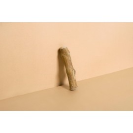 Buddy Wood Chew - Coffee Wood Dog Chew Stick - 100% Natural Toy Safe, Durable XS (Single)