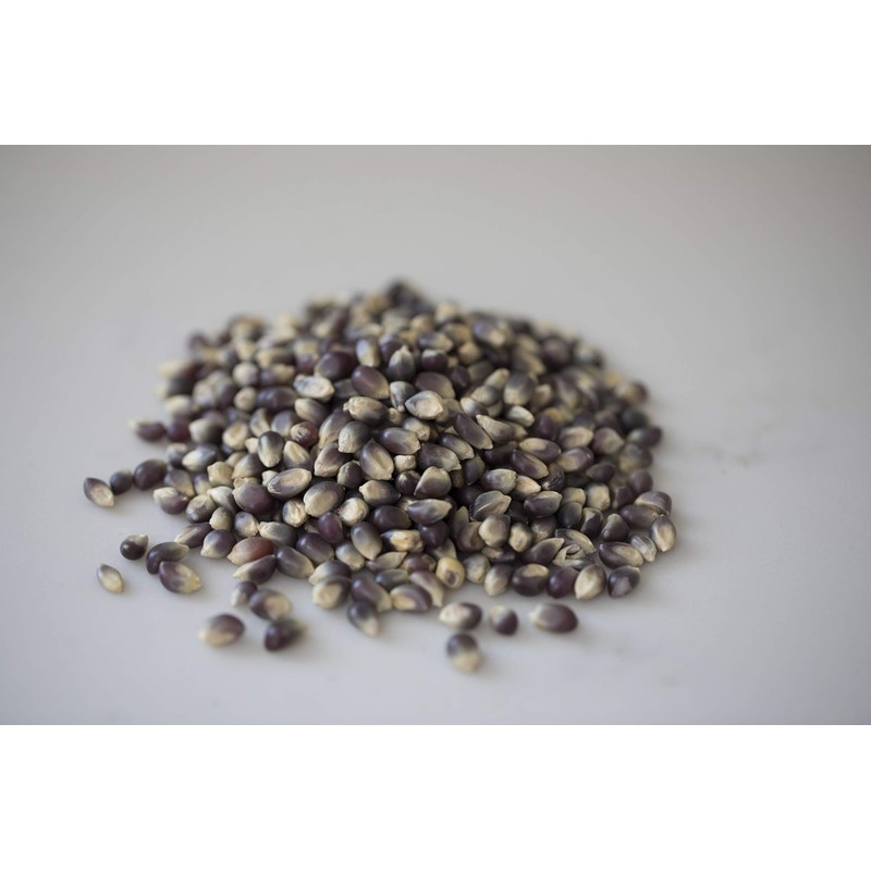 Amish Country Popcorn Blue Popcorn Kernels, 6LB Bag – Non-GMO,