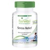 Fairvital Stress Relief Capsules - 60 Capsules - B Vitamins