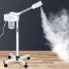 Segawe Professional Spa Beauty Equipment Facial Steamer Skin Care Ozone