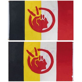 AIM American Indian Movement Premium Quality Heavy Duty 100D Double Sided Woven Poly Nylon Flag 3x5 3'x5' Flag Banner Grommets
