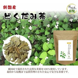 Economical Value Domestic Dokuomi Tea, 0.1 oz (3.0 g) x 40 Packets, Healthy Tea Cancer Farm