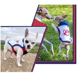 Raptor Shield Puncture Resistant Pet Vest for Small Dogs — Talon-Proof Protection Against Attacks by Coyotes, HawksBirds of Prey, Made in The USA, Four Sizes — Medium, 7-11.5 lbs, Chest 13.5 to 17"