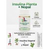 Insulina Planta + Nopal Cápsulas 60