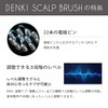 Vellcida Denki Scalp Brush, Black