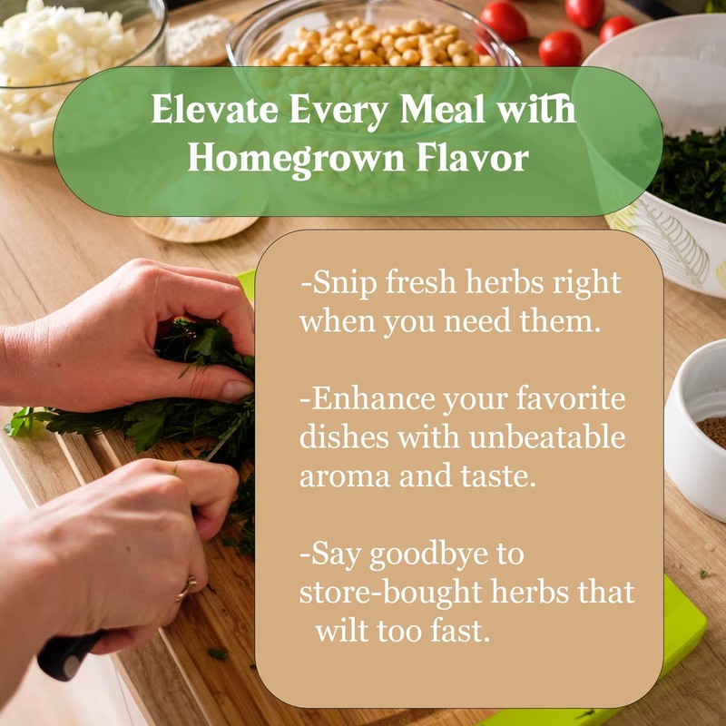 Indoor Herb Garden Kit, 9 Non-GMO Seeds with Reusable Pots,