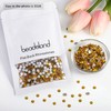 Beadsland 2880pcs Flat Back Crystal Rhinestones Round Gems for Nail